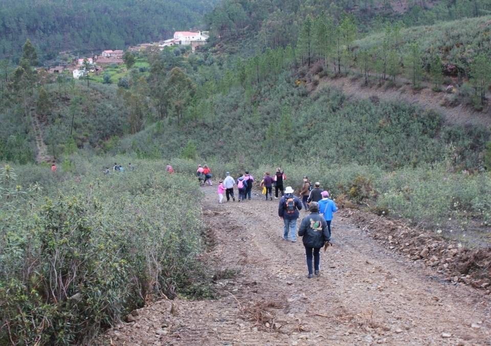 Passeio Cho de Codes