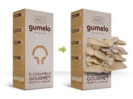 Uma ideias de negcio em destaque