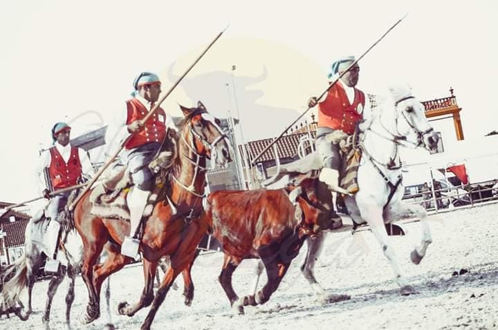 Foto: Ol, Goleg
