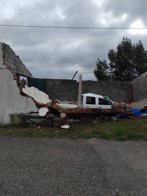 Foto: Helena Louren�o | DR