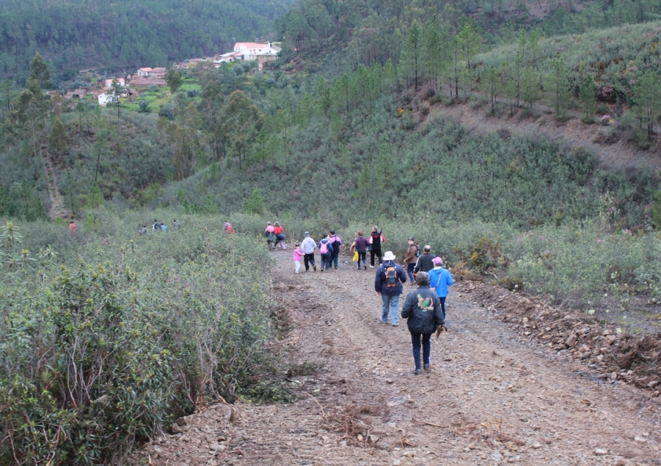 Passeio Cho de Codes