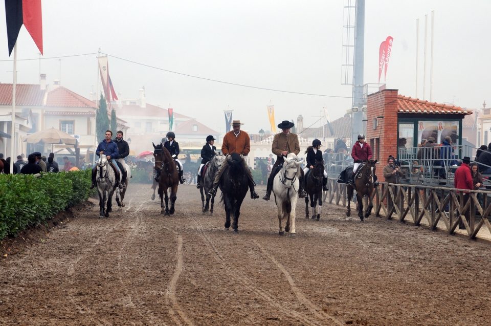 Feira Nacional do Cavalo