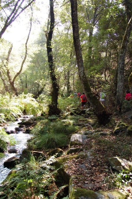 Ribeira de Alcolobre