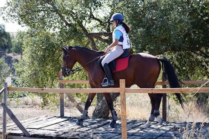 Foto: Facebook Sara Junqueira