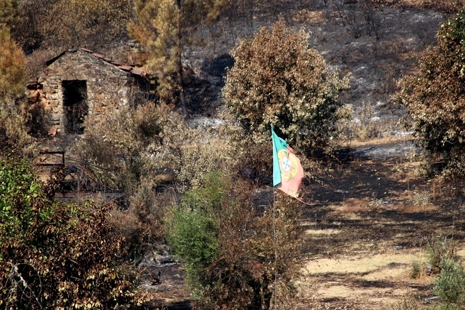 Foto: Antnio Manuel M. Silva