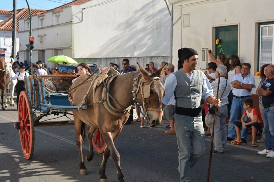 Foto: BdG | Festa da Bno do Gado