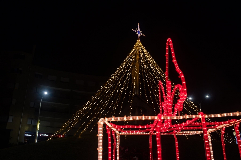 Foto: CM Torres Novas