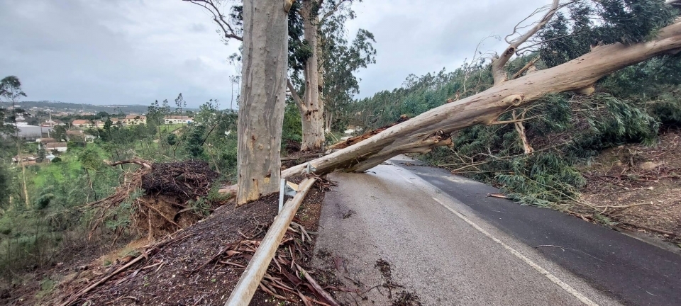 Foto: Munic�pio de Ferreira do Z�zere