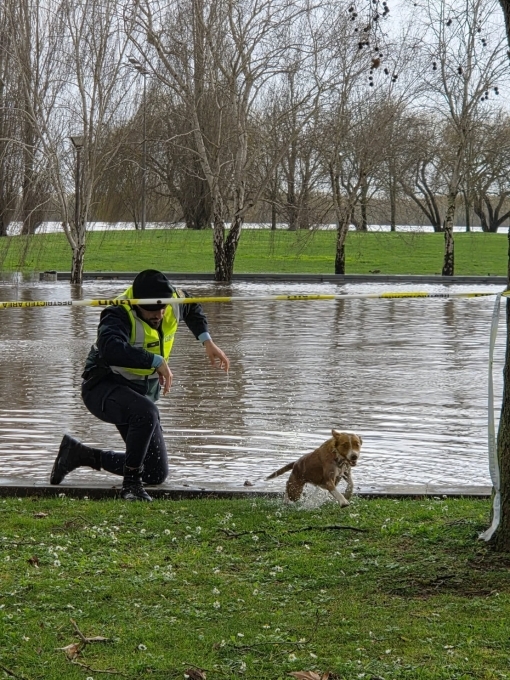 Foto: P�rsio Basso