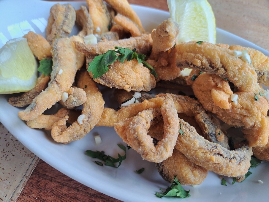 Foto: P�rsio Basso