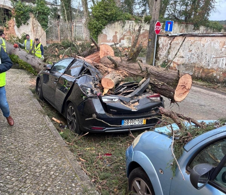 Foto: Munic�pio de Tomar